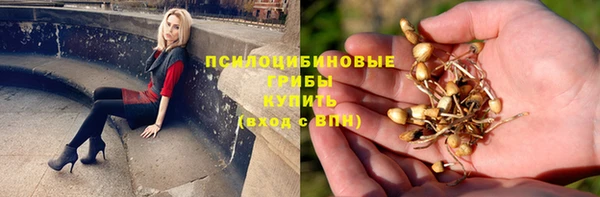 прущий лед Волосово